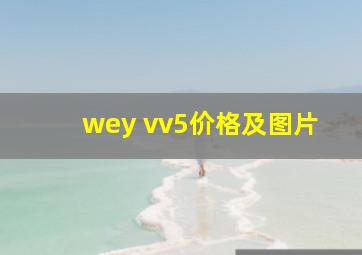 wey vv5价格及图片